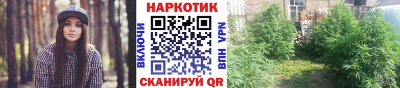 Купить наркотики Северо-Курильск КОКАИН A PVP АМФ МЕФ