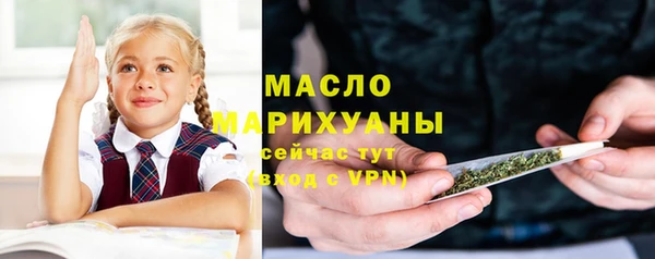 сатива Новокубанск